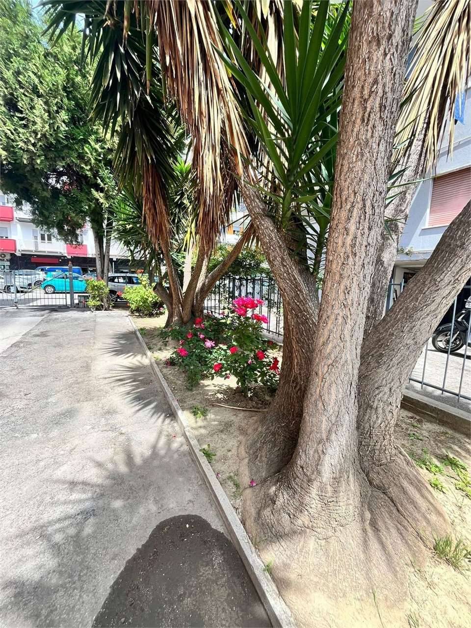  - foto 8