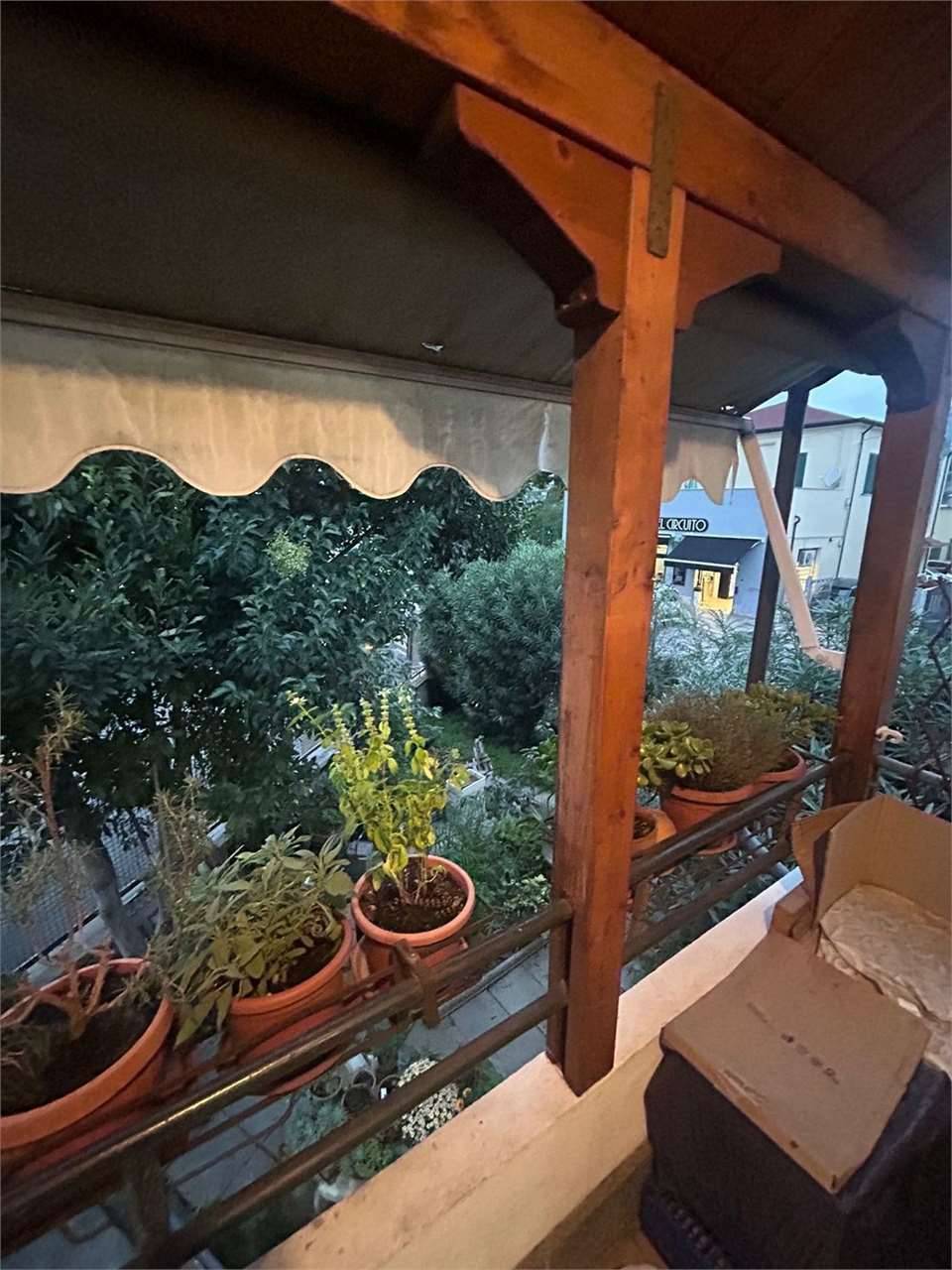  - foto 5