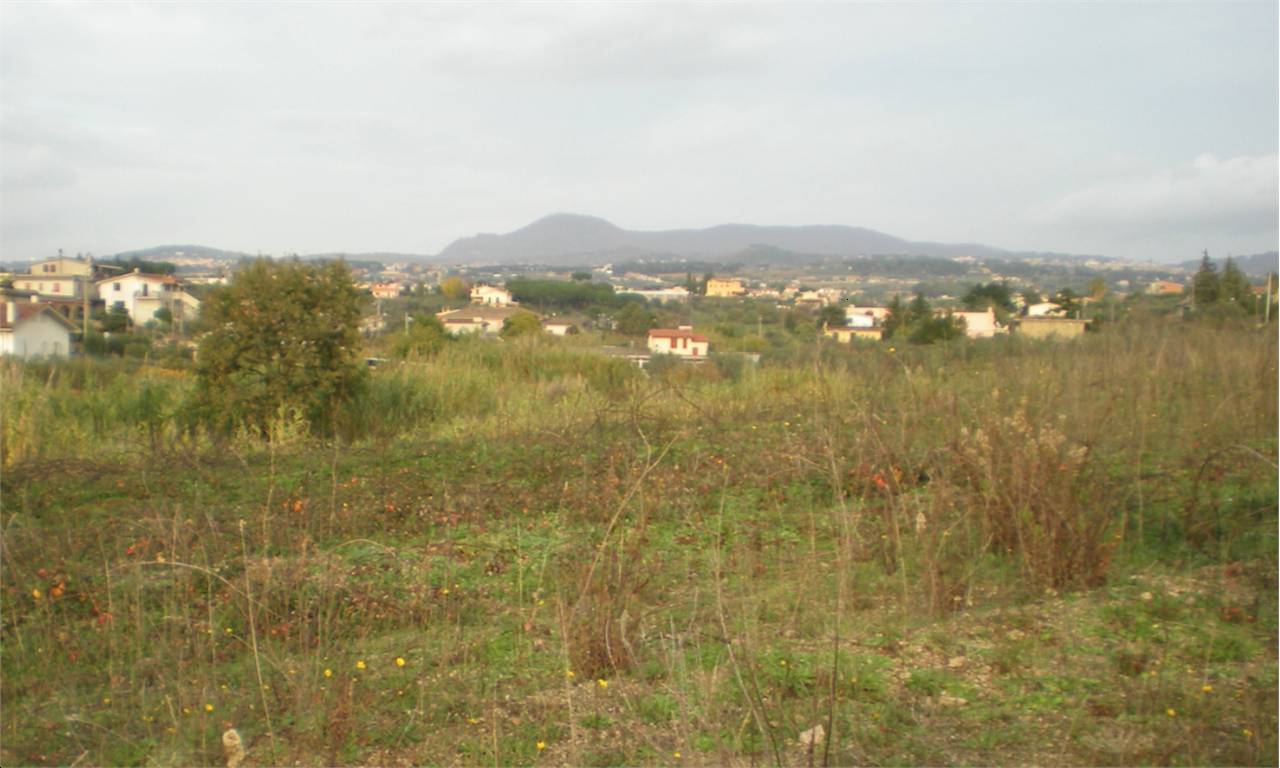  - foto 5