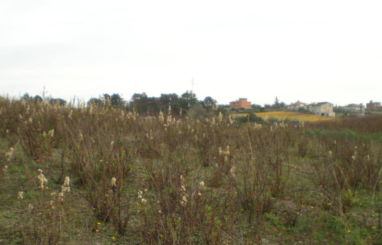  - foto 6