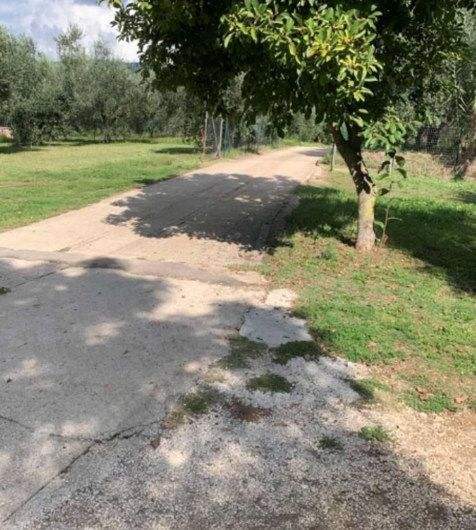  - foto 3