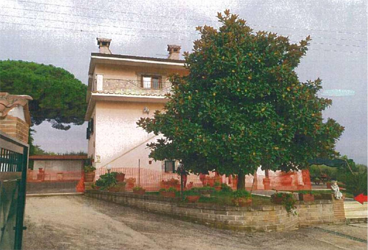 - foto 2