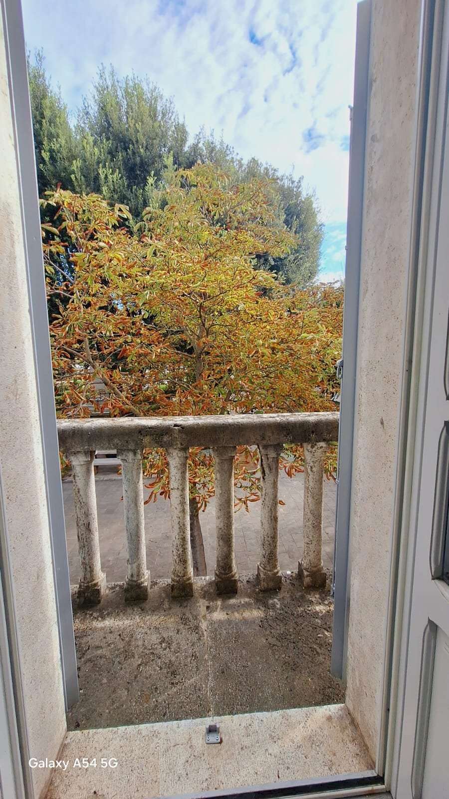  - foto 27