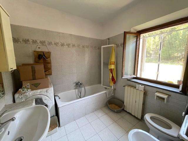  - foto 12