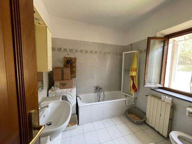 - foto 13