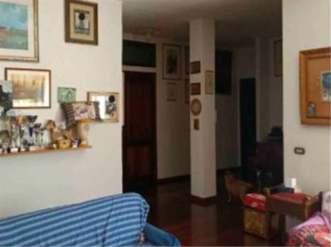  - foto 4