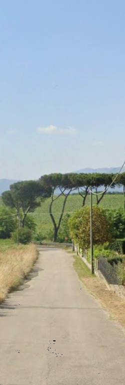  - foto 6