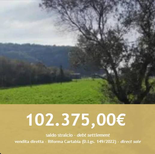 Terreno agricolo, Trissino