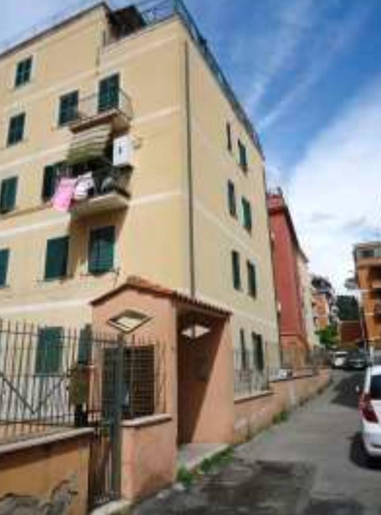  - foto 5