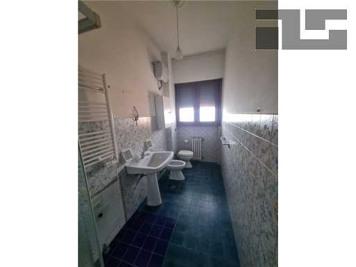  - foto 11