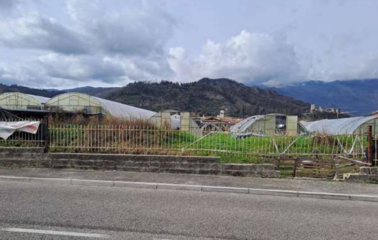  - foto 6
