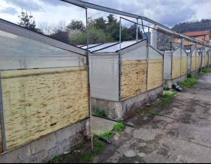  - foto 8