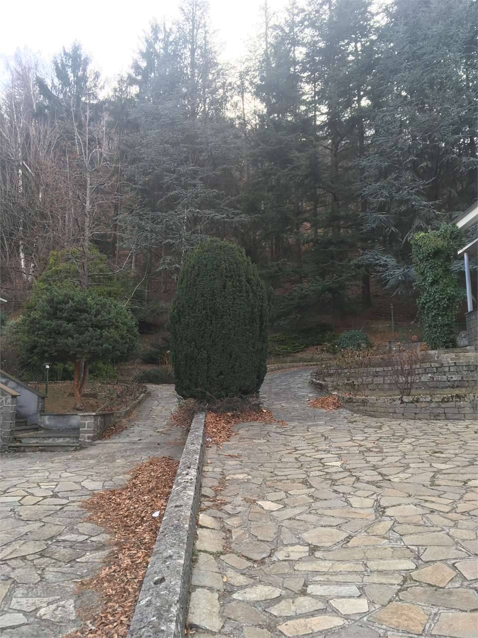  - foto 5