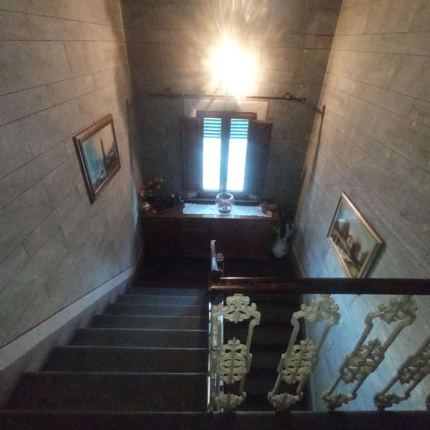  - foto 13