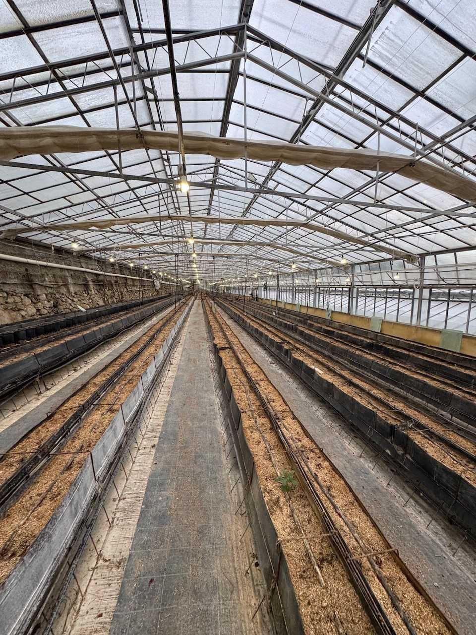 Azienda agricola via roma, San Biagio della Cima