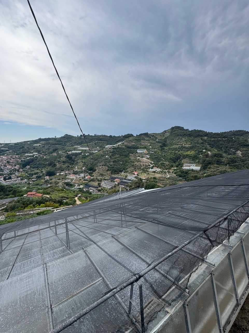Azienda agricola via roma, San Biagio della Cima