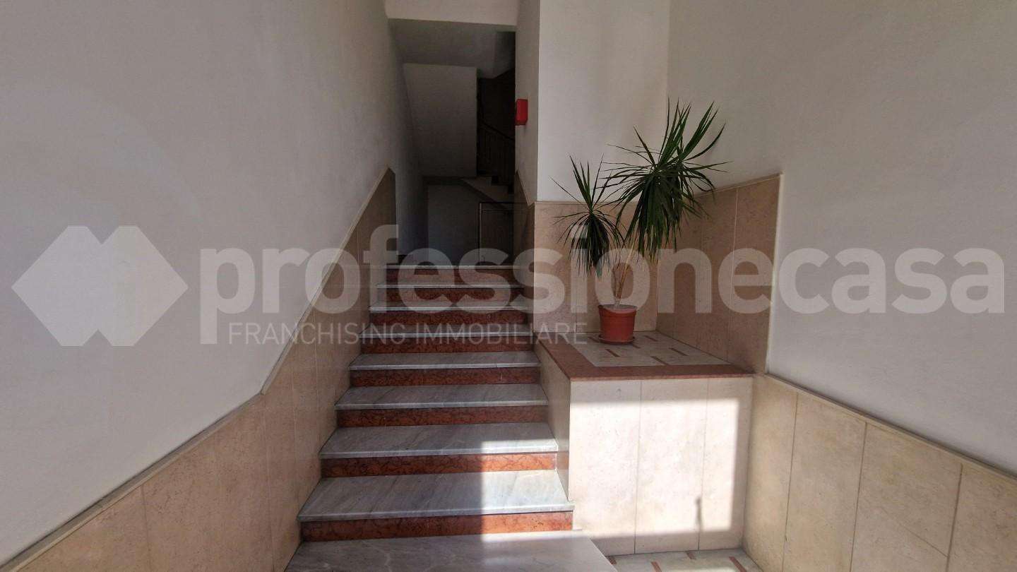 - foto 23