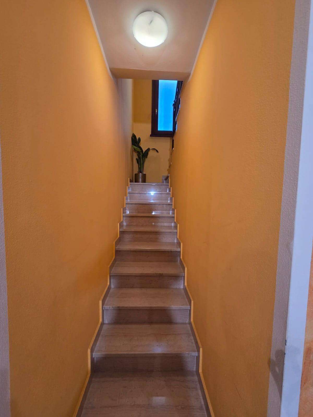  - foto 11
