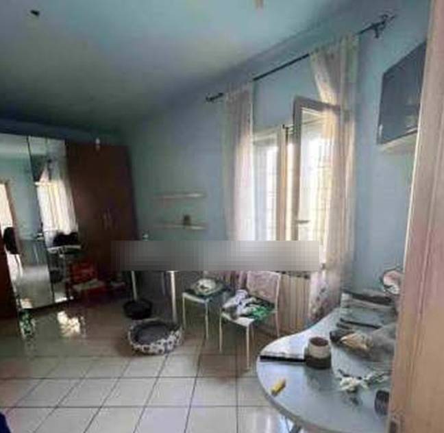  - foto 5