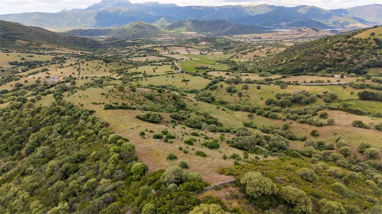 Terreno agricolo, Torpè
