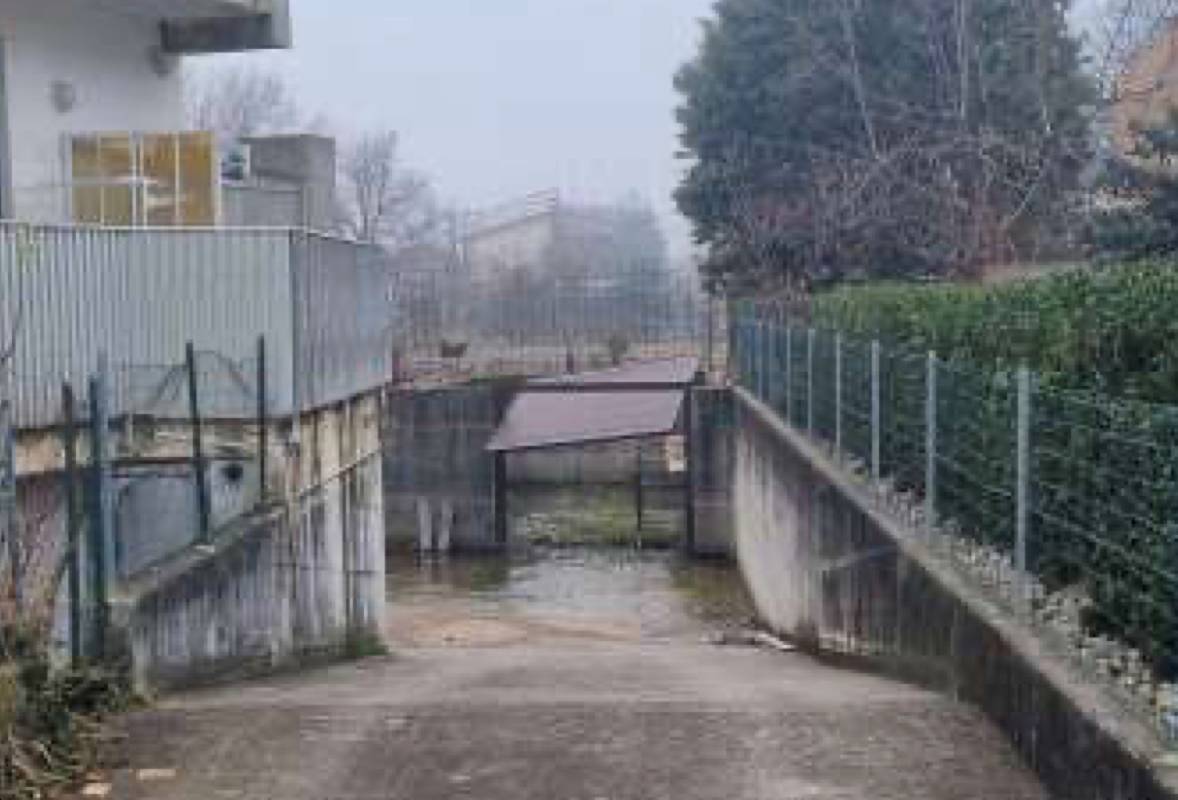  - foto 6