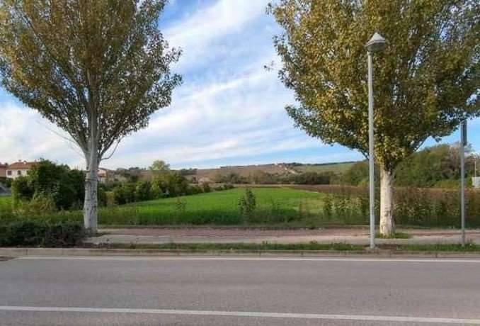  - foto 6