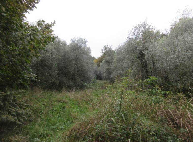  - foto 5