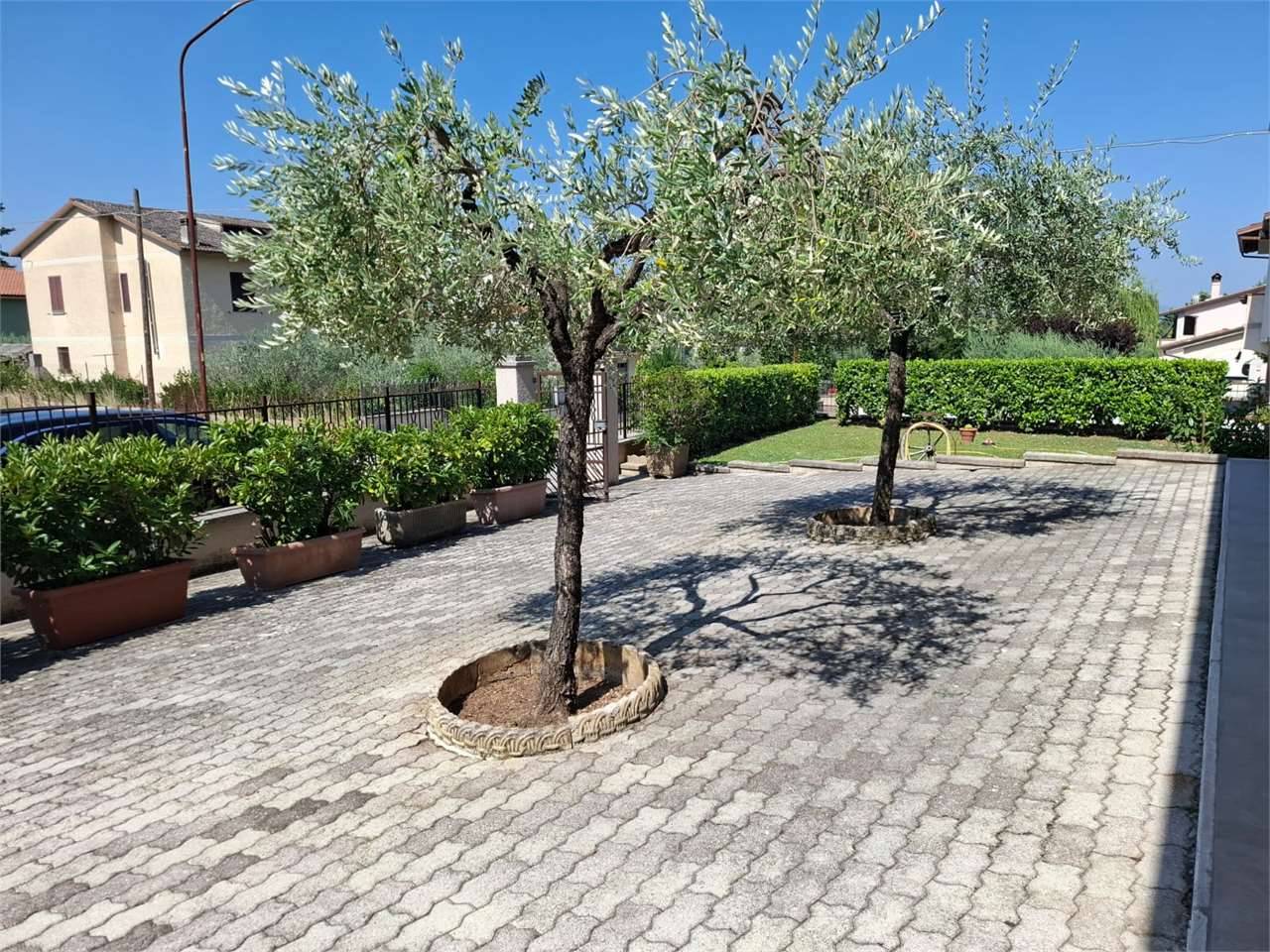  - foto 3