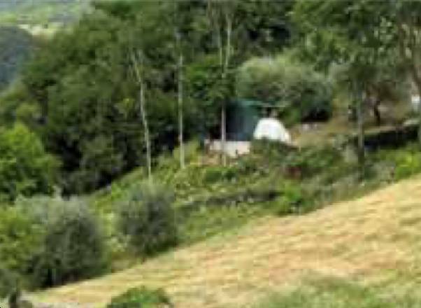 Terreno agricolo, Marostica