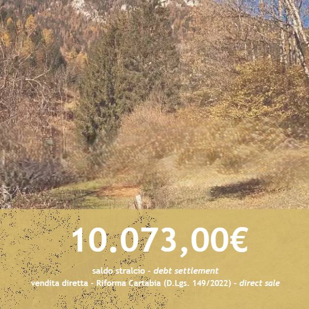 Terreno agricolo Nebbiù, Pieve di Cadore