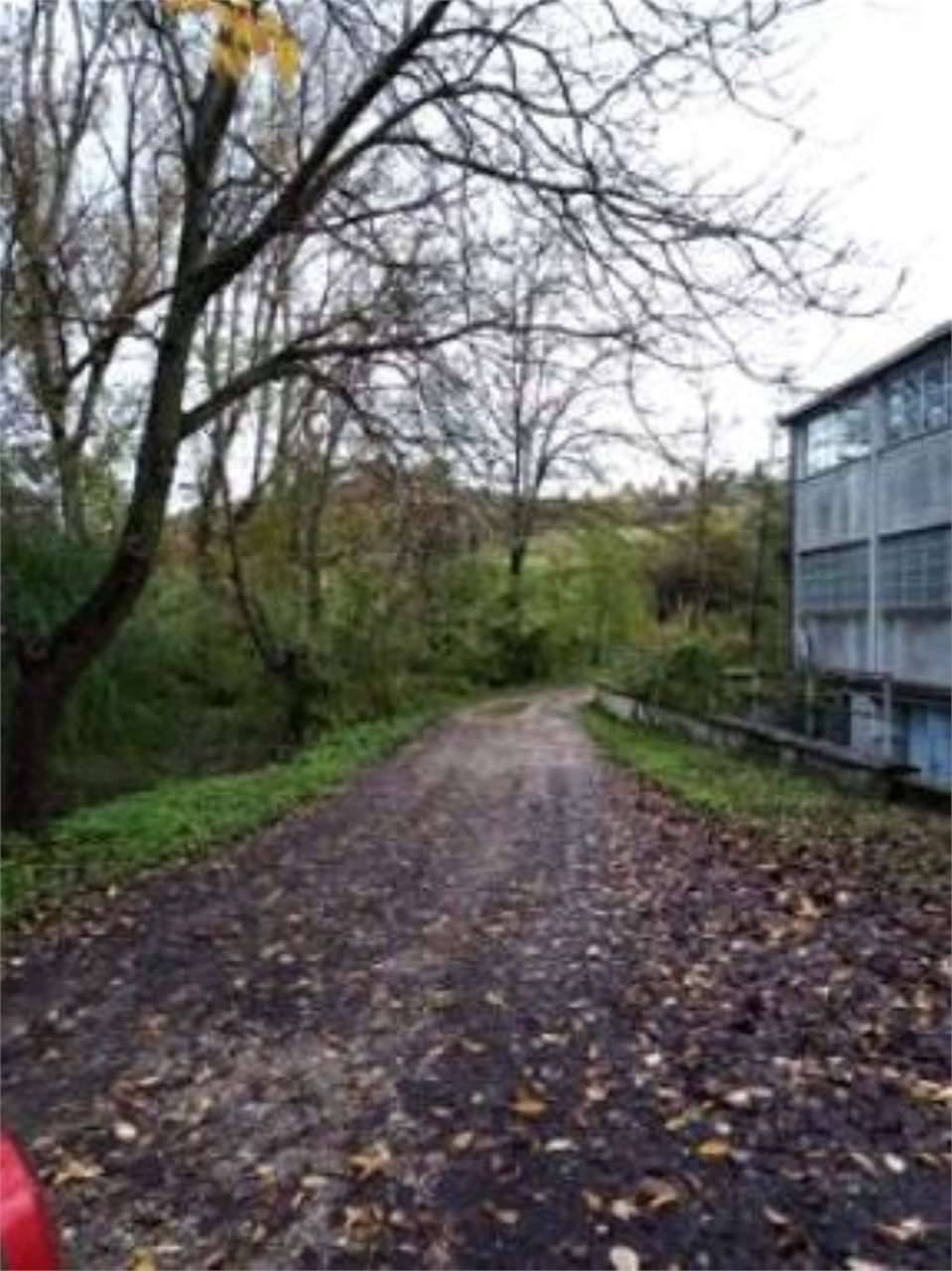  - foto 5