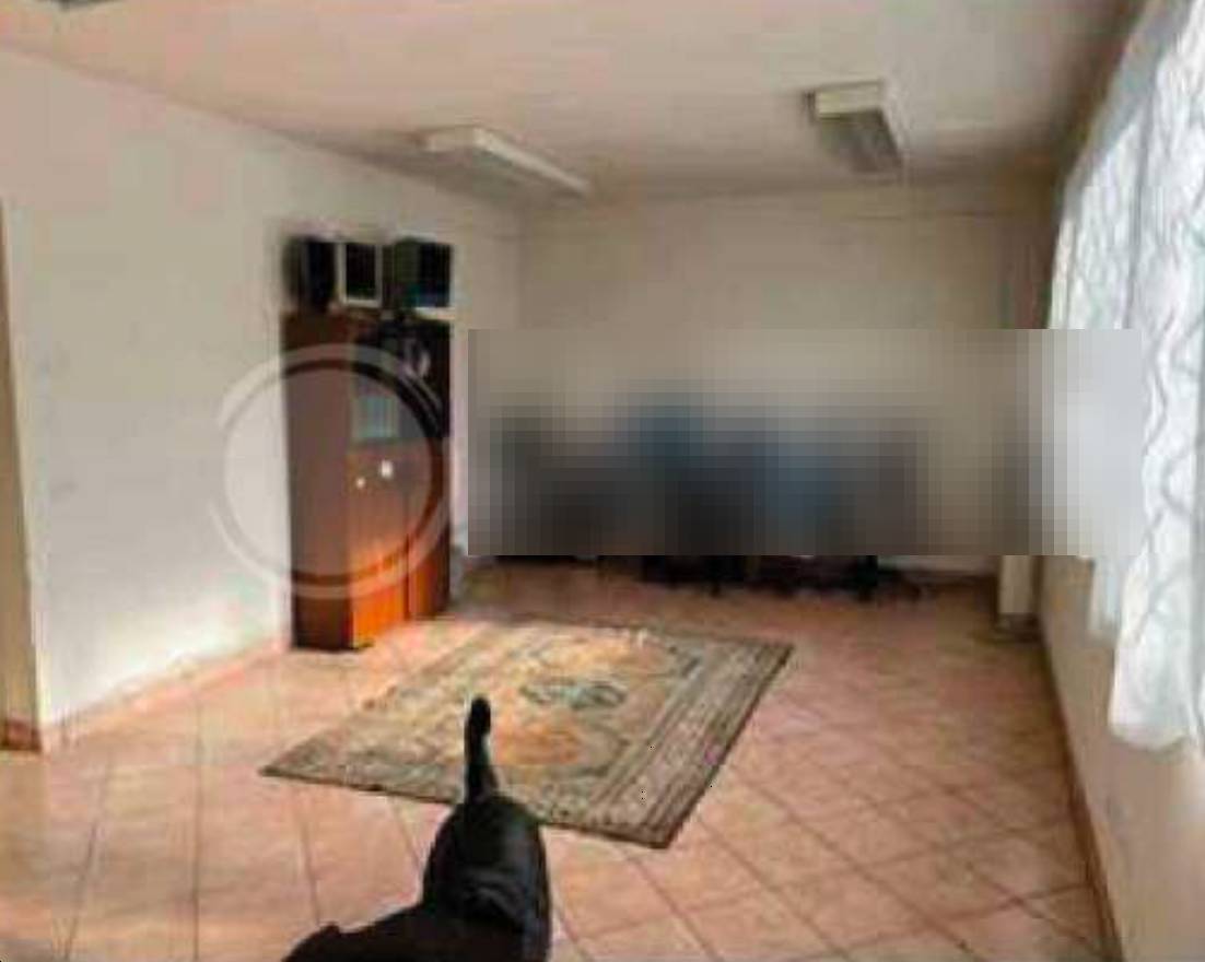  - foto 4