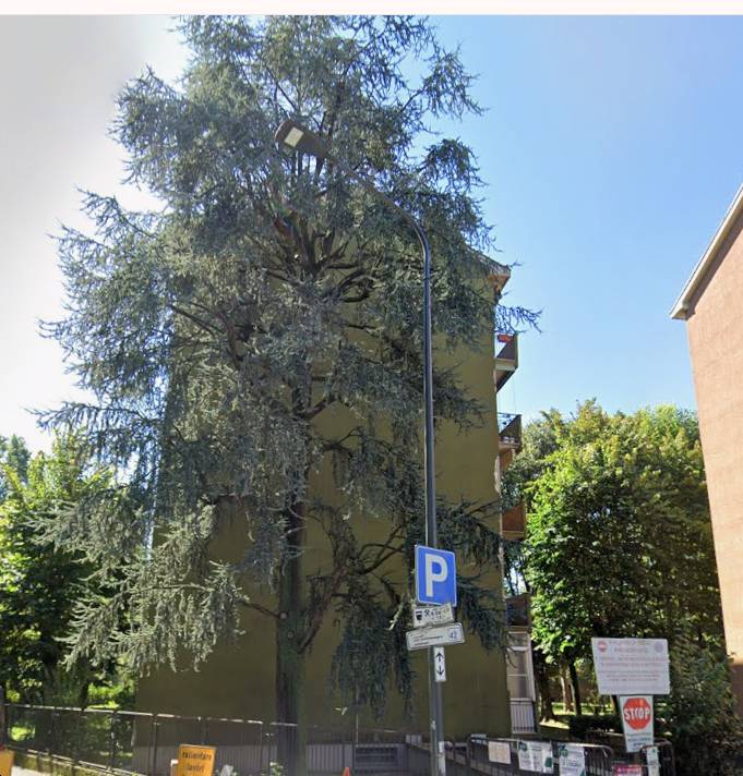 - foto 6