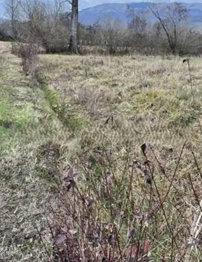 Terreno agricolo, Farra di Soligo