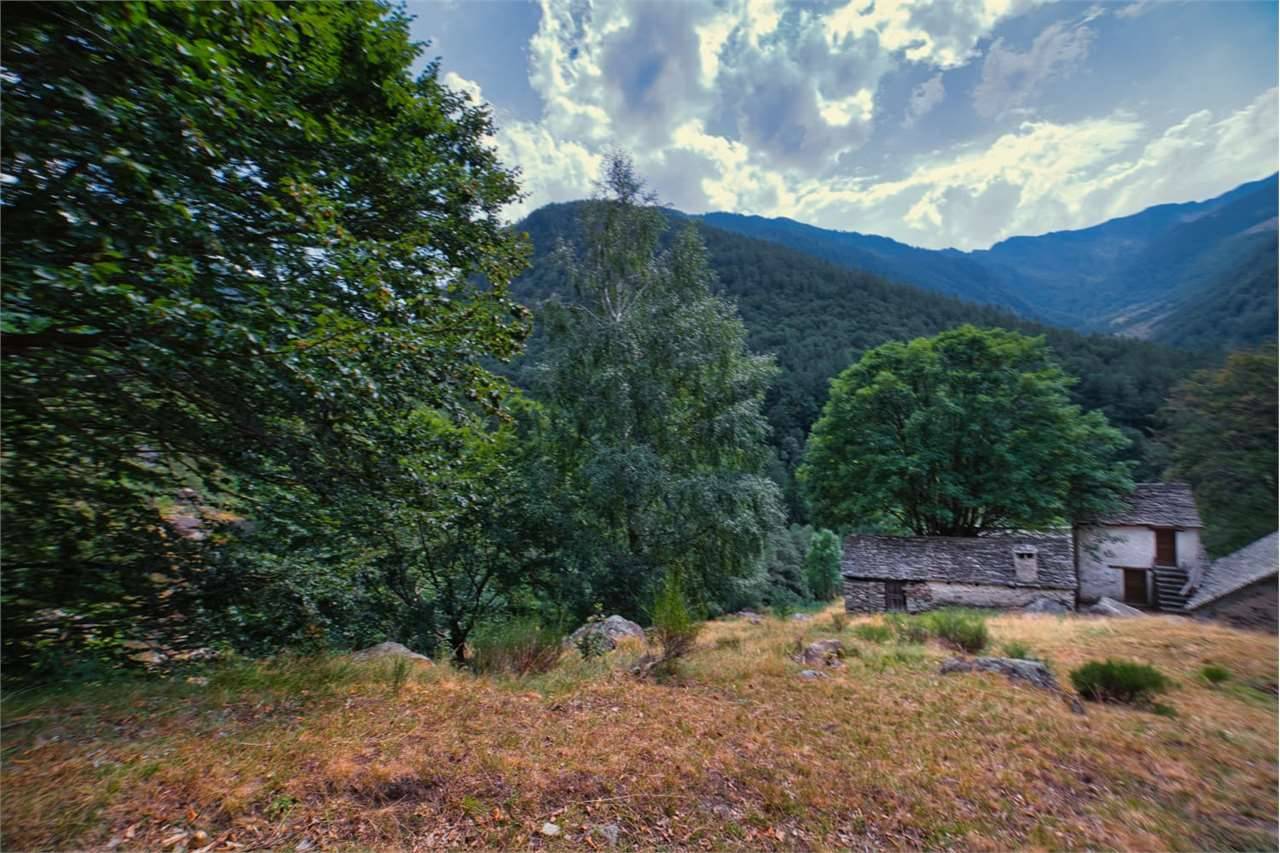  - foto 4