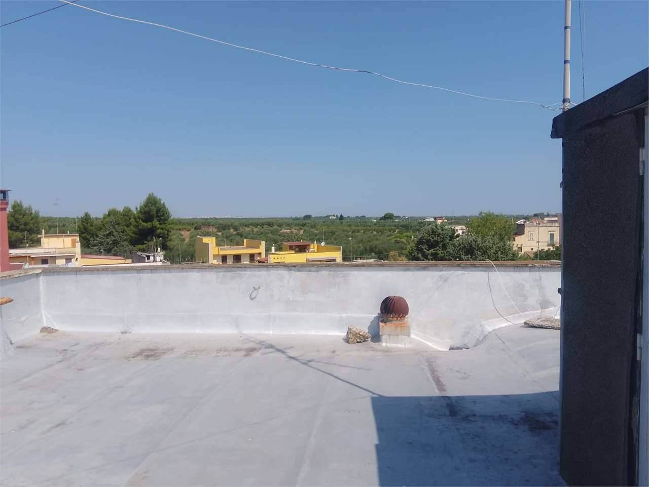  - foto 10