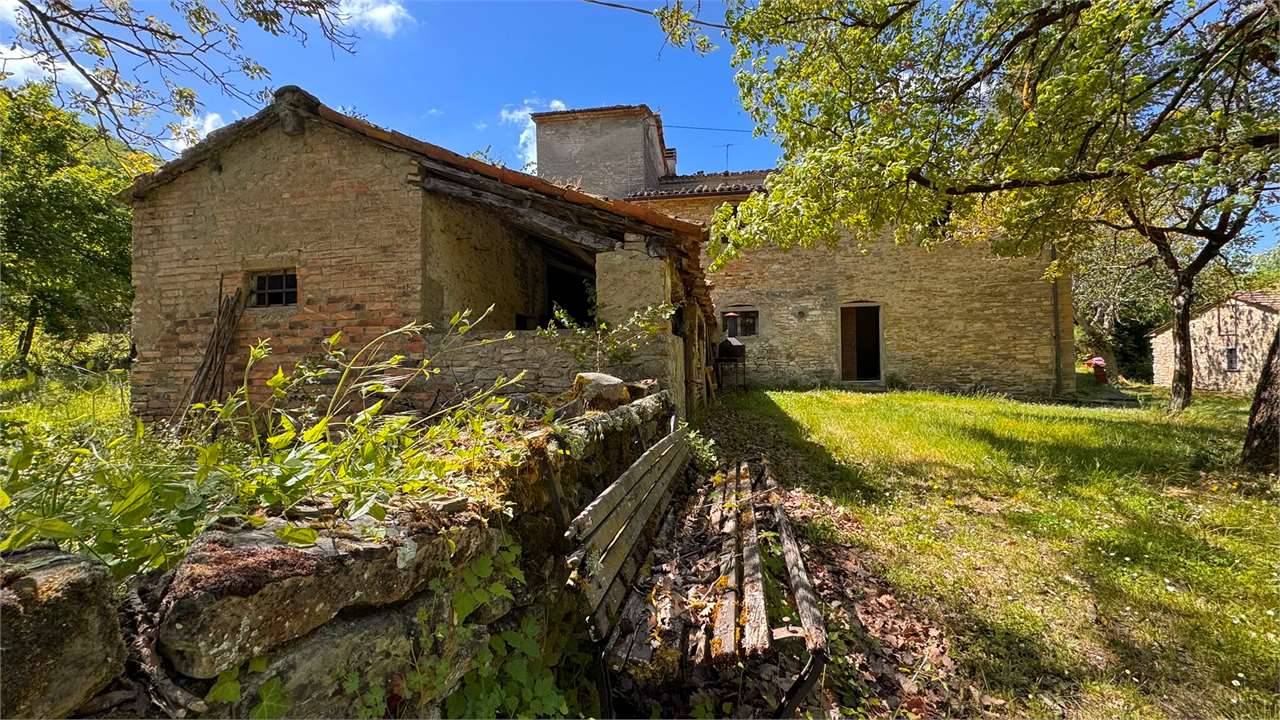  - foto 4
