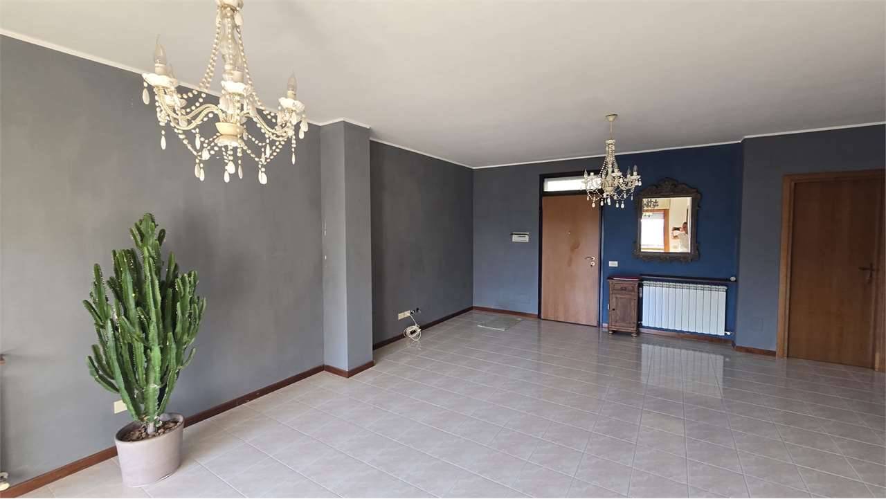 - foto 5