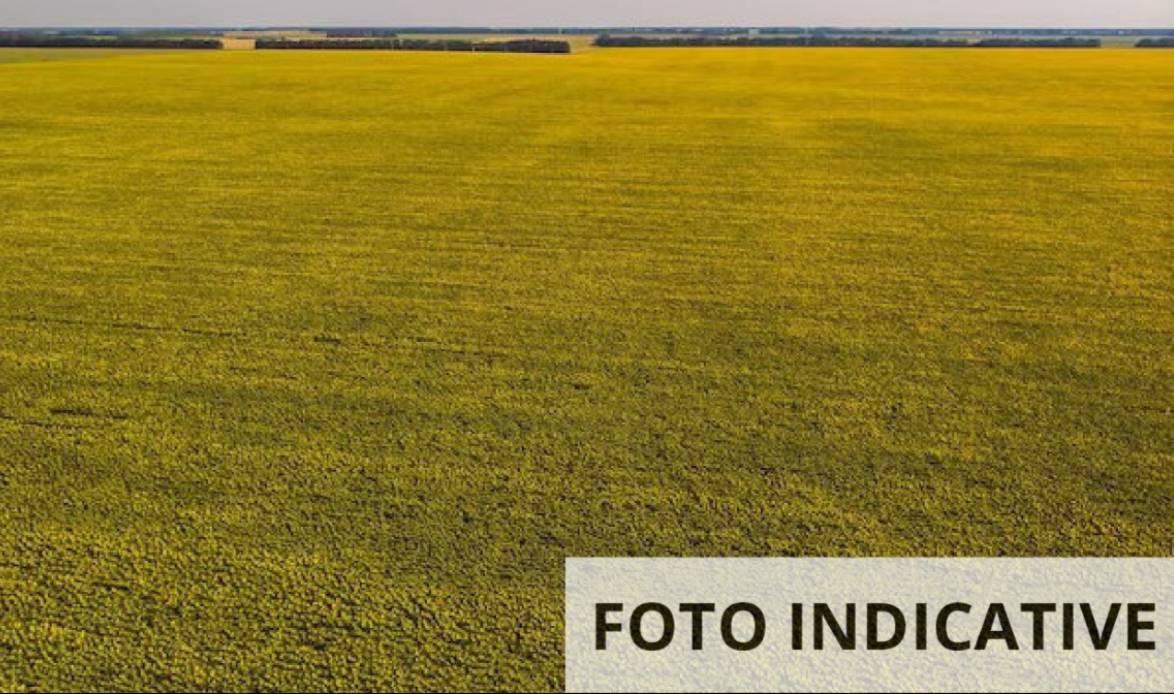  - foto 9