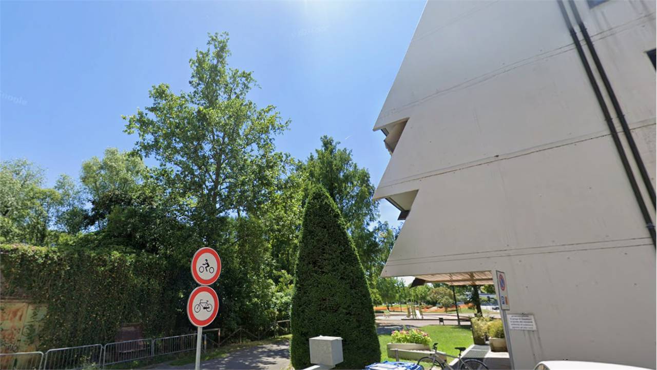  - foto 5