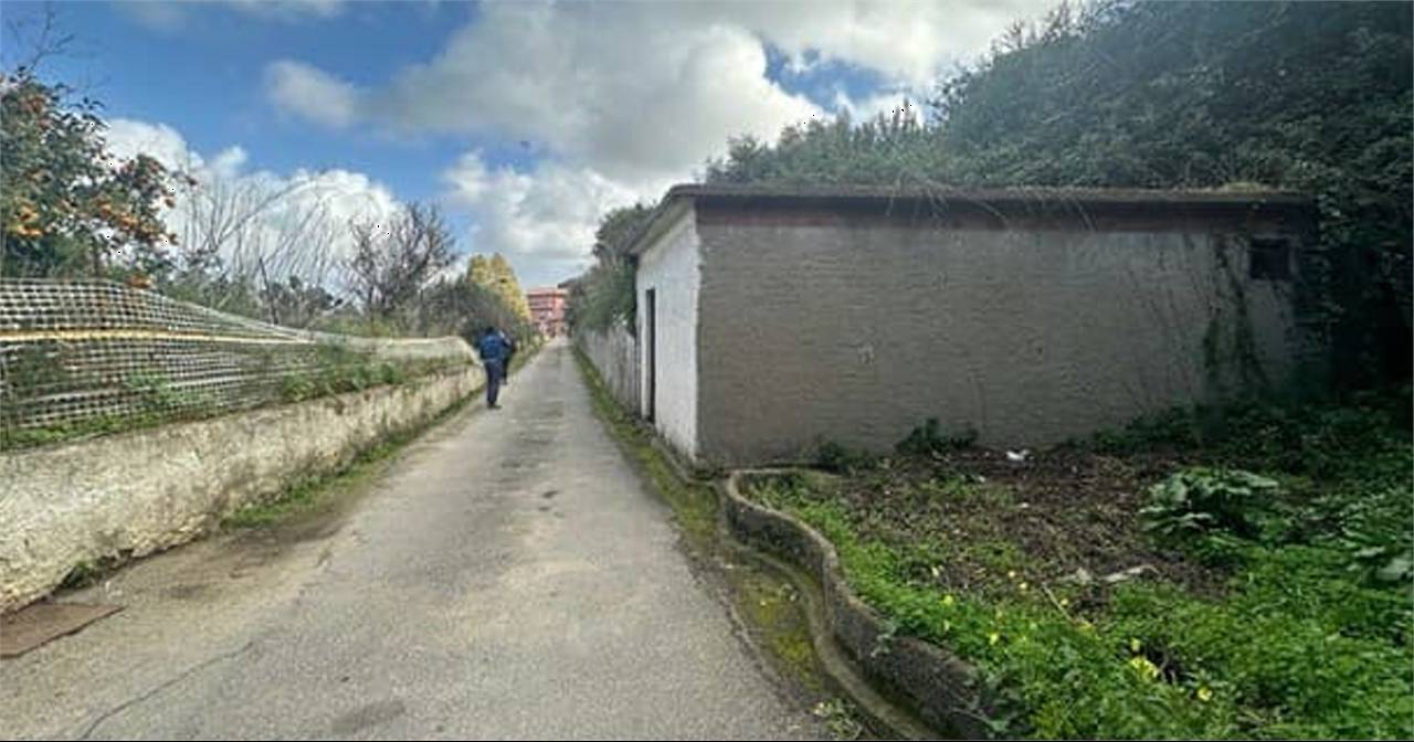  - foto 5