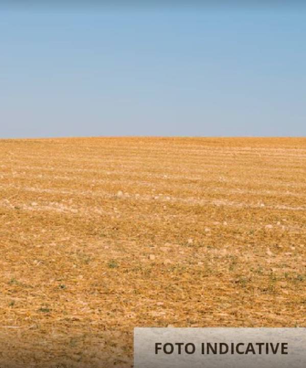 Terreno agricolo, Monselice