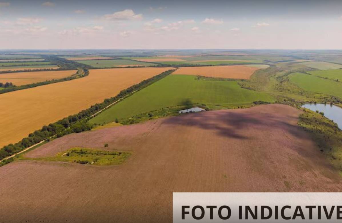  - foto 4