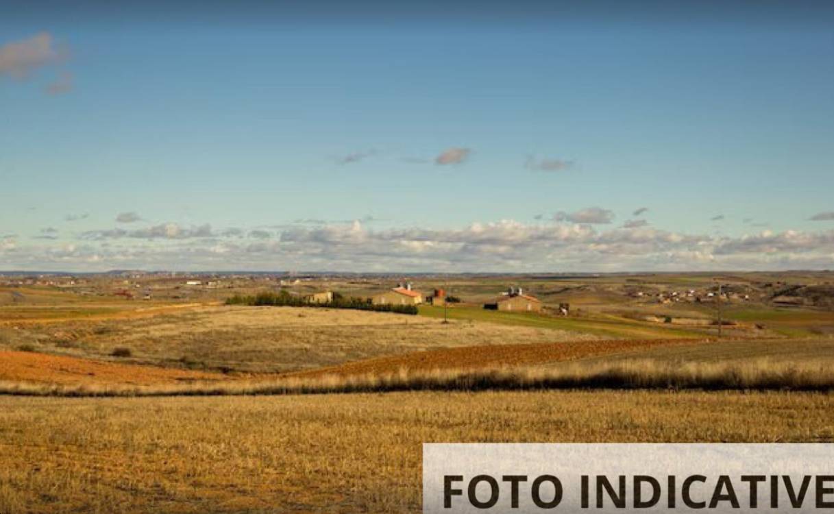  - foto 7