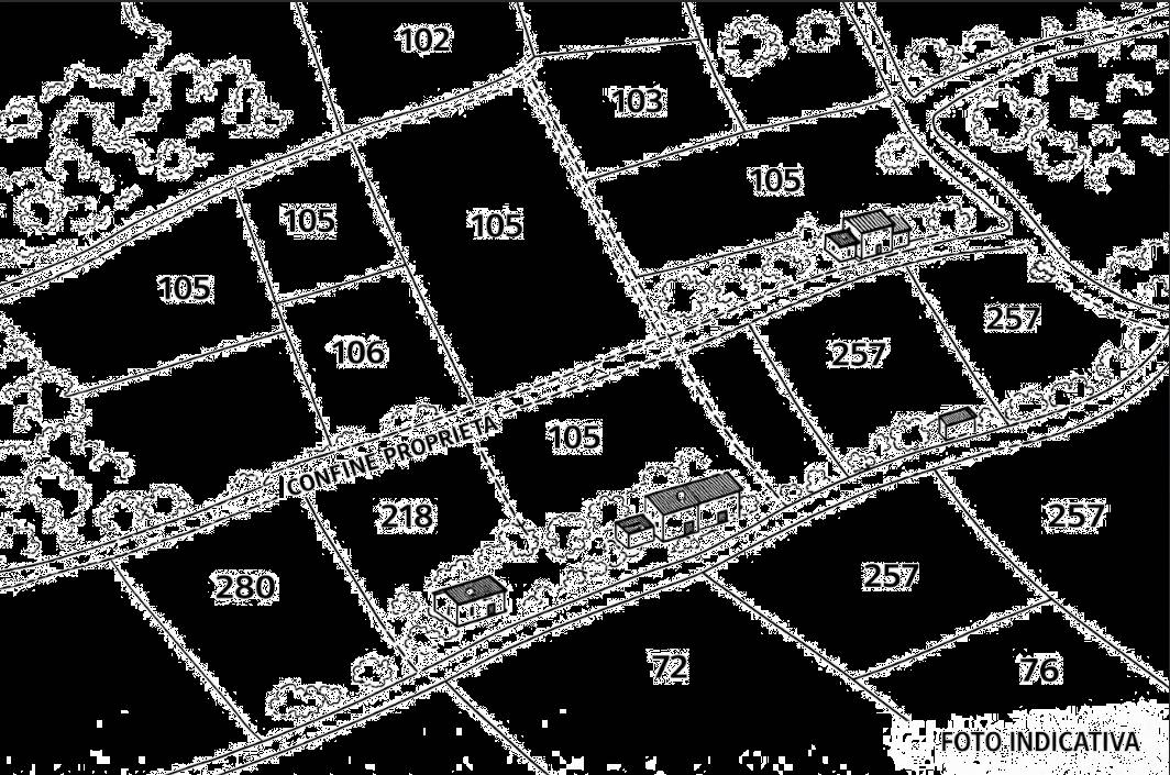  - foto 9