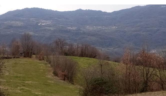 Terreno agricolo, Chiampo