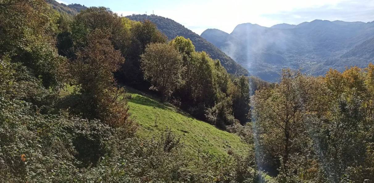  - foto 5