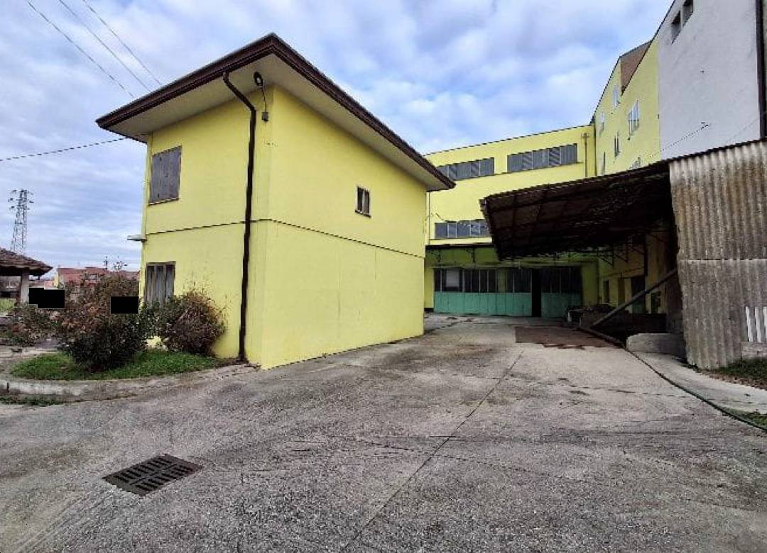 Capannone, Casale di Scodosia