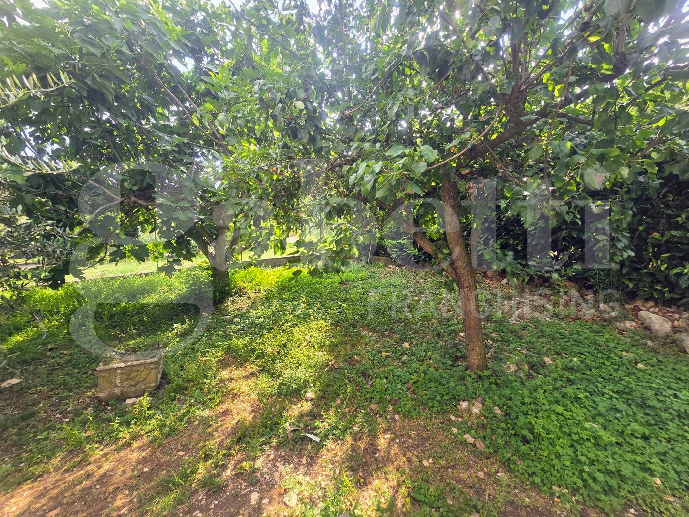  - foto 6