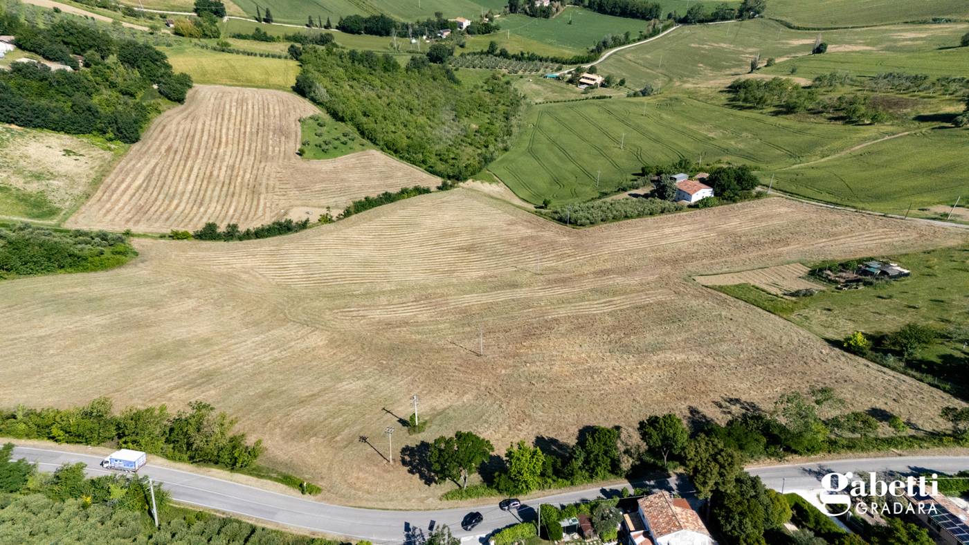 Terreno agricolo, Gradara